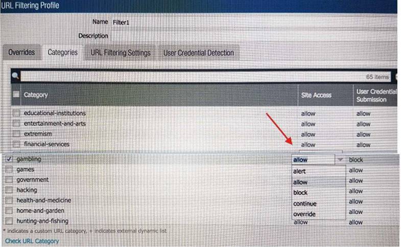 PCNSE dumps exhibit